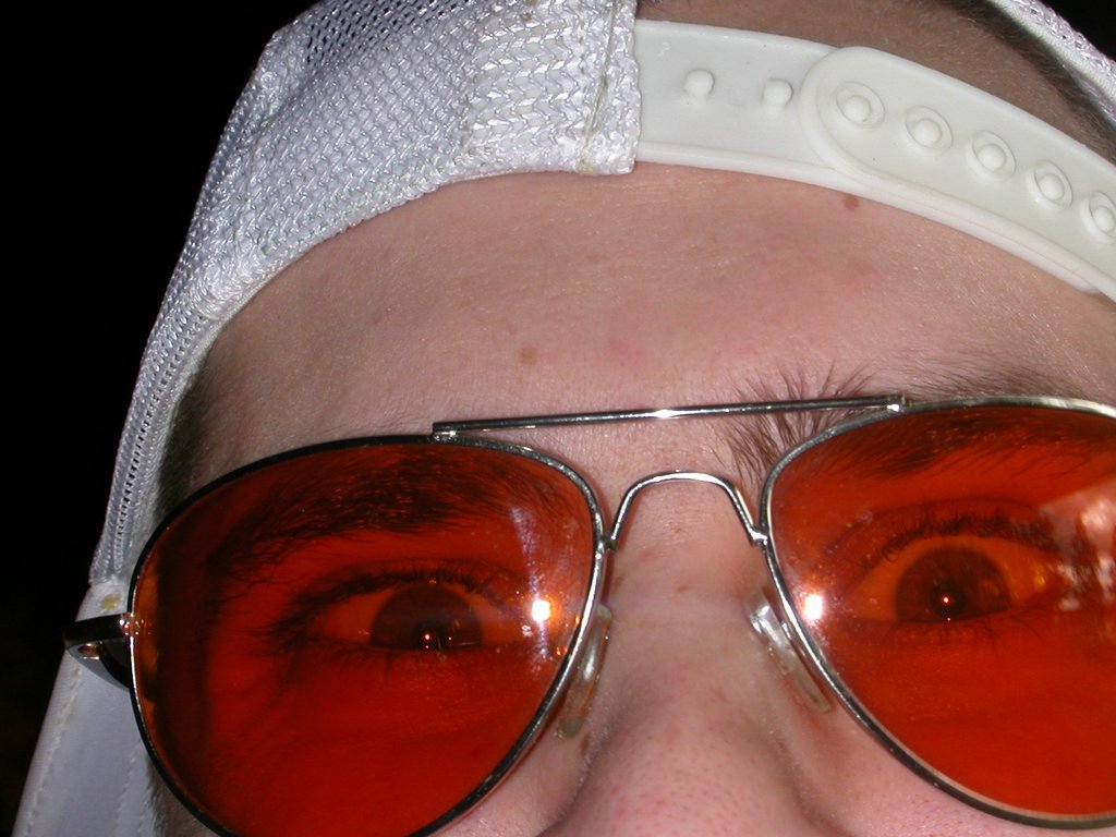 08-Ant.jpg